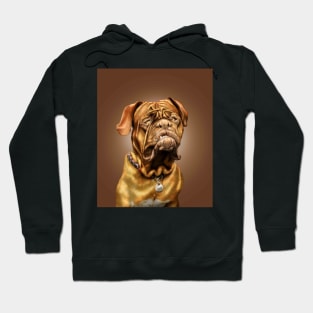 French Mastiff Dog Portrait Hoodie